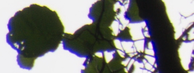 Tamron 16-300mm f/3.5-6.3 Di II VC PZD Macro