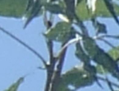 Kapesní stylový automat Z3