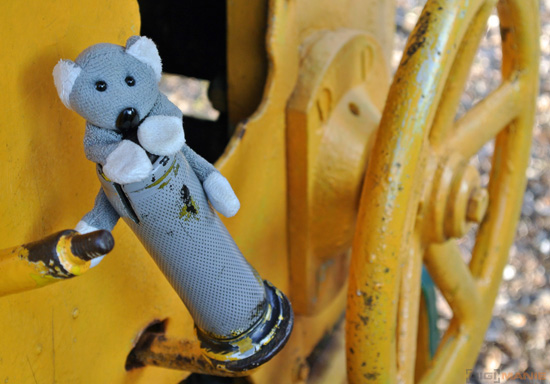 Fotíme s Koalou: Sluneční clona