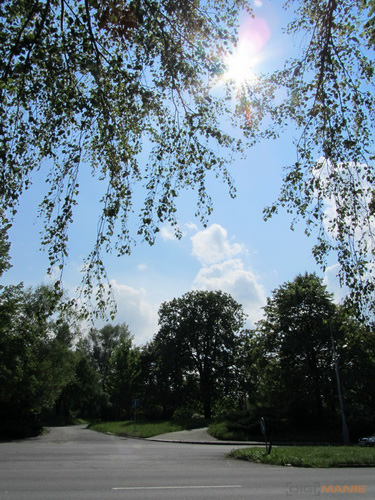 Canon PowerShot SX210 IS: s překvapivou zbraní