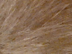 Nikon D3100: základ nabídky DSLR