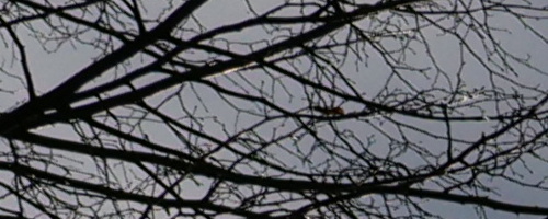 Panasonic Leica DG Vario-Summilux 25-50mm F1.7 ASPH.