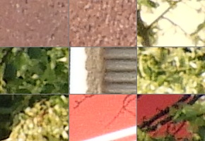 Nikon Coolpix B700: přírodovědec