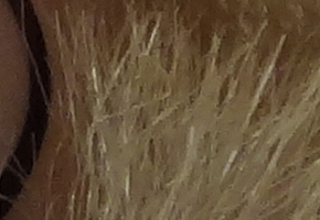 Sony Cyber-shot WX100: maličký silák