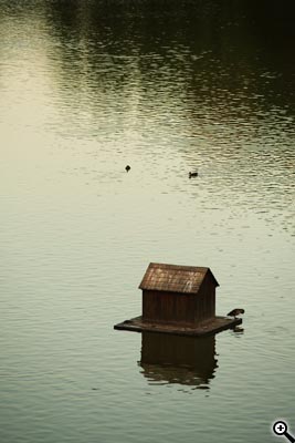 Cesta ke kvalitní fotografii: 1.díl