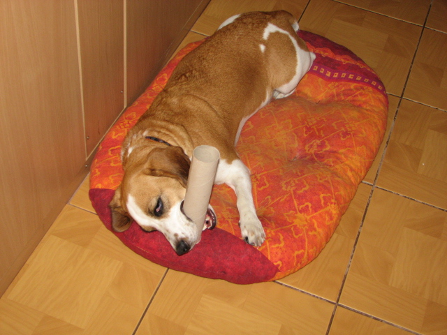 Decentní upgrade PowerShotu S2 IS v praxi