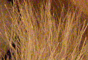 Olympus OM-D E-M5: elegantní fotokladivo