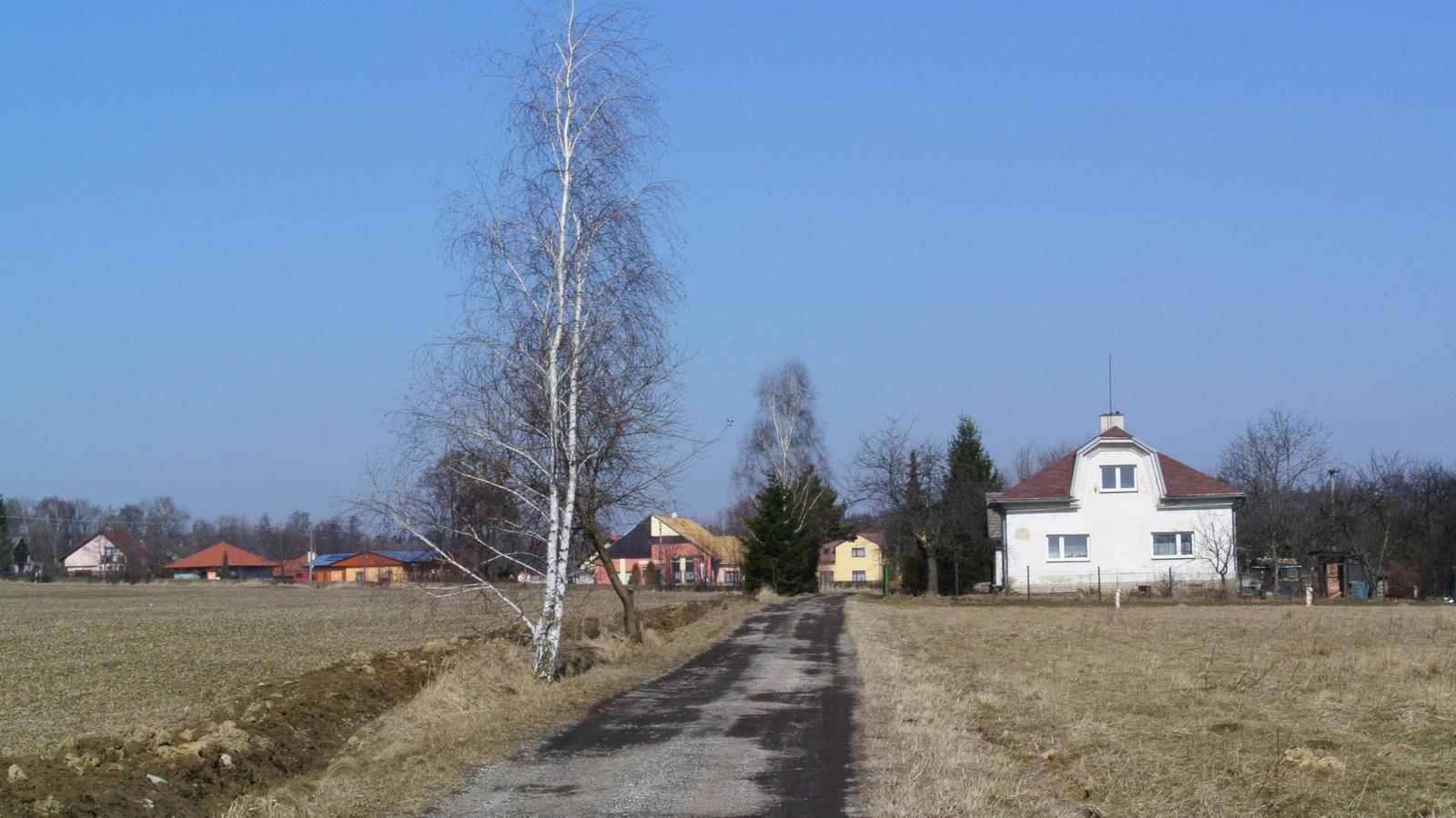 Nikon 1 V1: rychlejší než blesk