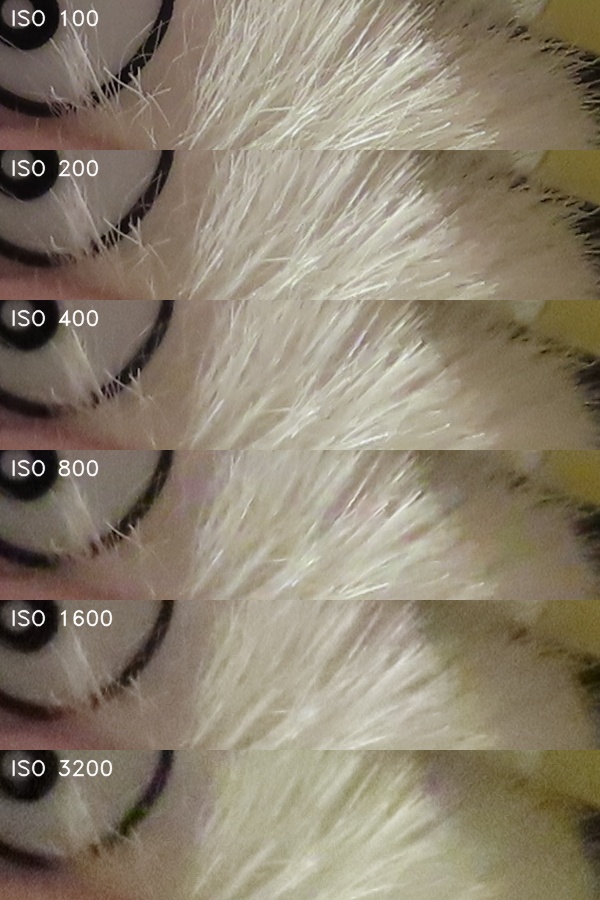 Canon PowerShot SX740 HS: bytelný univerzál