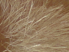 Sony Cyber-shot W570: jde to i s 16 megapixely