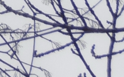 Sony Cyber-shot HX20V: umí snad všechno