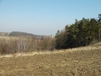 Pentagram Photon 484: Svérázný 4 Mpix ultrazoom