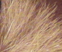 Samsung WB2000: stylová bomba