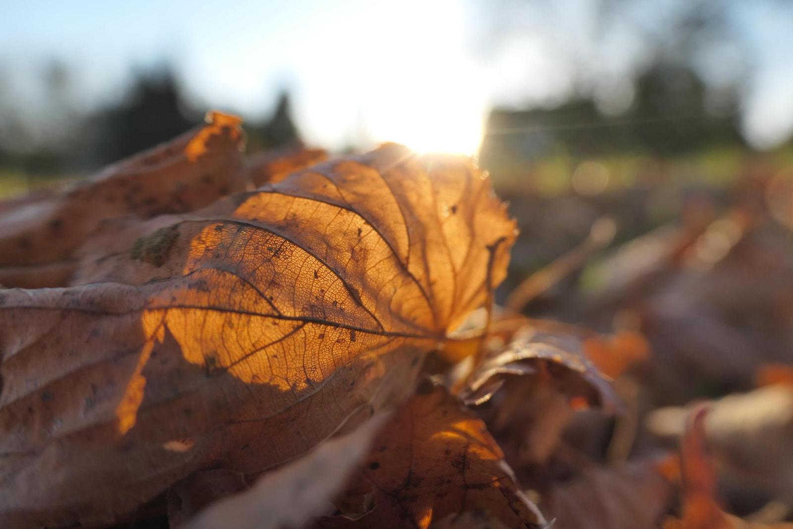 Panasonic Lumix TZ200: kamarád na cesty