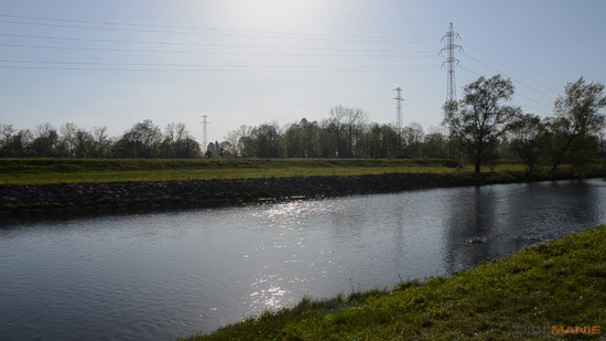 Nikon D5100: jeden z nejlepších?