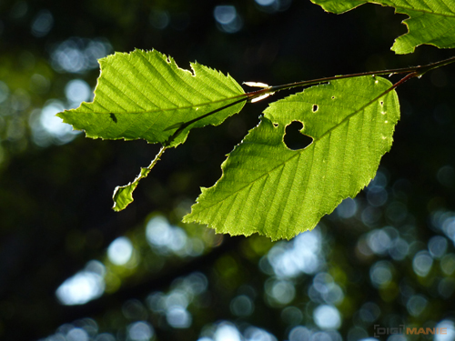 Panasonic Lumix TZ7: ultrazoom téměř bez chybičky