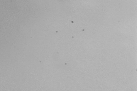 Jaký fotoaparát? – 8. díl: pokročilé funkce