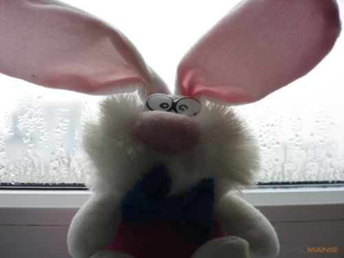 Samsung ST1000: nabitý technologiemi