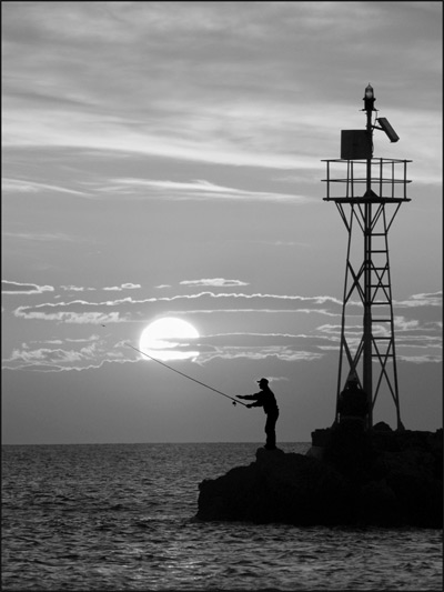 Portréty z fotogalerie: červenec - srpen 2014