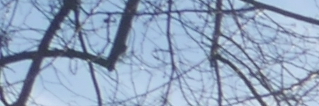 Panasonic Lumix G Vario 12-32mm f/3.5-5.6 ASPH. / MEGA O.I.S.