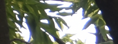 Tamron 16-300mm f/3.5-6.3 Di II VC PZD Macro