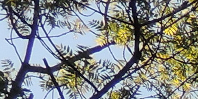 Nikon Coolpix P330: do vyšších sfér