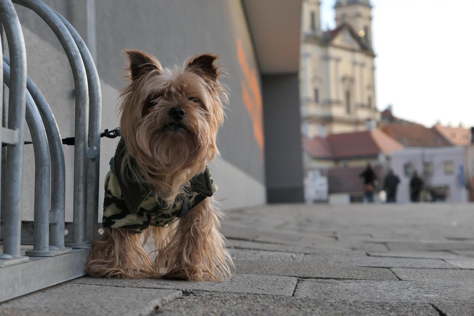 Panasonic Lumix LX15: noční borec