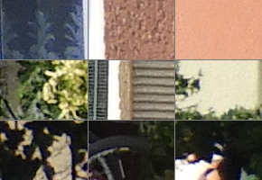 Nikon Coolpix B700: přírodovědec