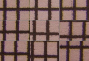 Canon EF-S 18-55mm F3,5-5,6 IS STM