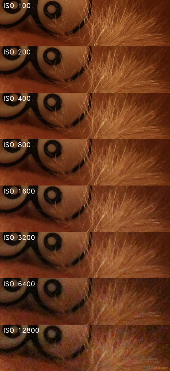 Canon EOS 1200D: vylepšený základ