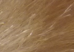 Panasonic Lumix G3: menší a lehčí, je i lepší?