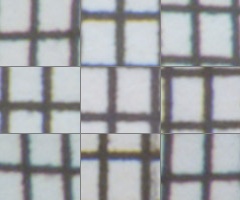 Fujifilm X-S1: jedinečný