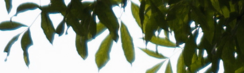 Panasonic Lumix S Pro 70-200mm F4 O.I.S.