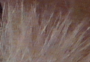 Samsung EX2F: významný krok vpřed