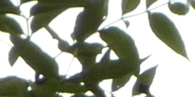 Samsung WB850F: fotící bezdrátová navigace?