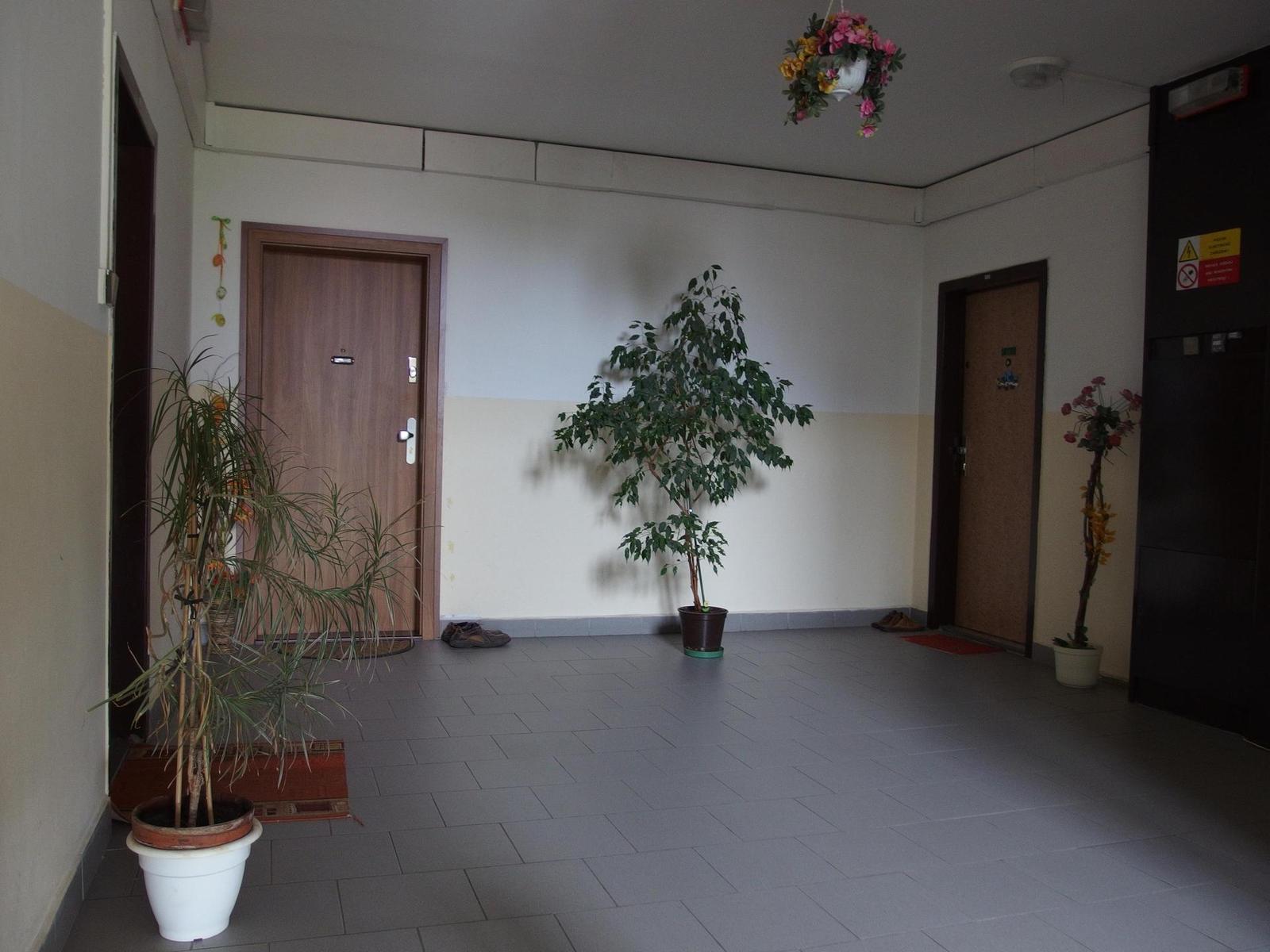 Olympus Stylus XZ-2: jednoduše skvělý