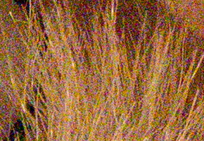 Olympus OM-D E-M5: elegantní fotokladivo