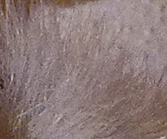 Nokia N8: lepší než kompakt?