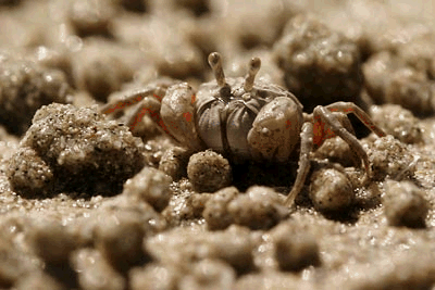 Fotoškola - 3.díl: Megapixely, DPI a JPEG