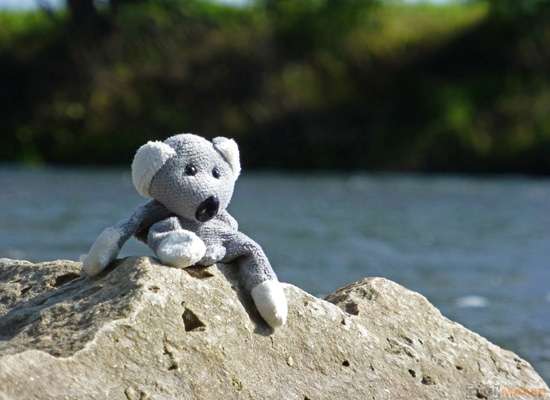 Fotíme s Koalou: Rozlišení a megapixely!