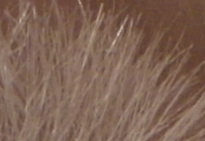 Samsung WB850F: fotící bezdrátová navigace?