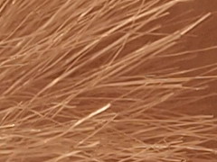 Olympus PEN E-PL2: PEN počtvrté a zase lépe