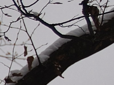 Dva objektivy nebo jeden ultrazoom?