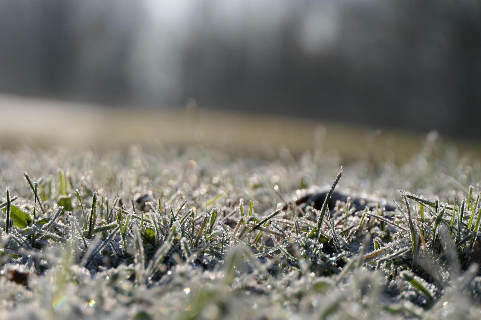 Panasonic Lumix FZ2000: ultrazoom nebo profi kamera?