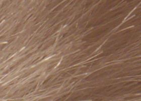 Panasonic Lumix G3: menší a lehčí, je i lepší?