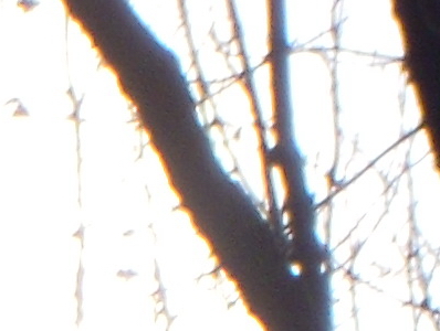 Nikon Coolpix S5100: krok vpřed