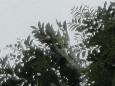 Sony Cyber-shot W350: šikovný prcek