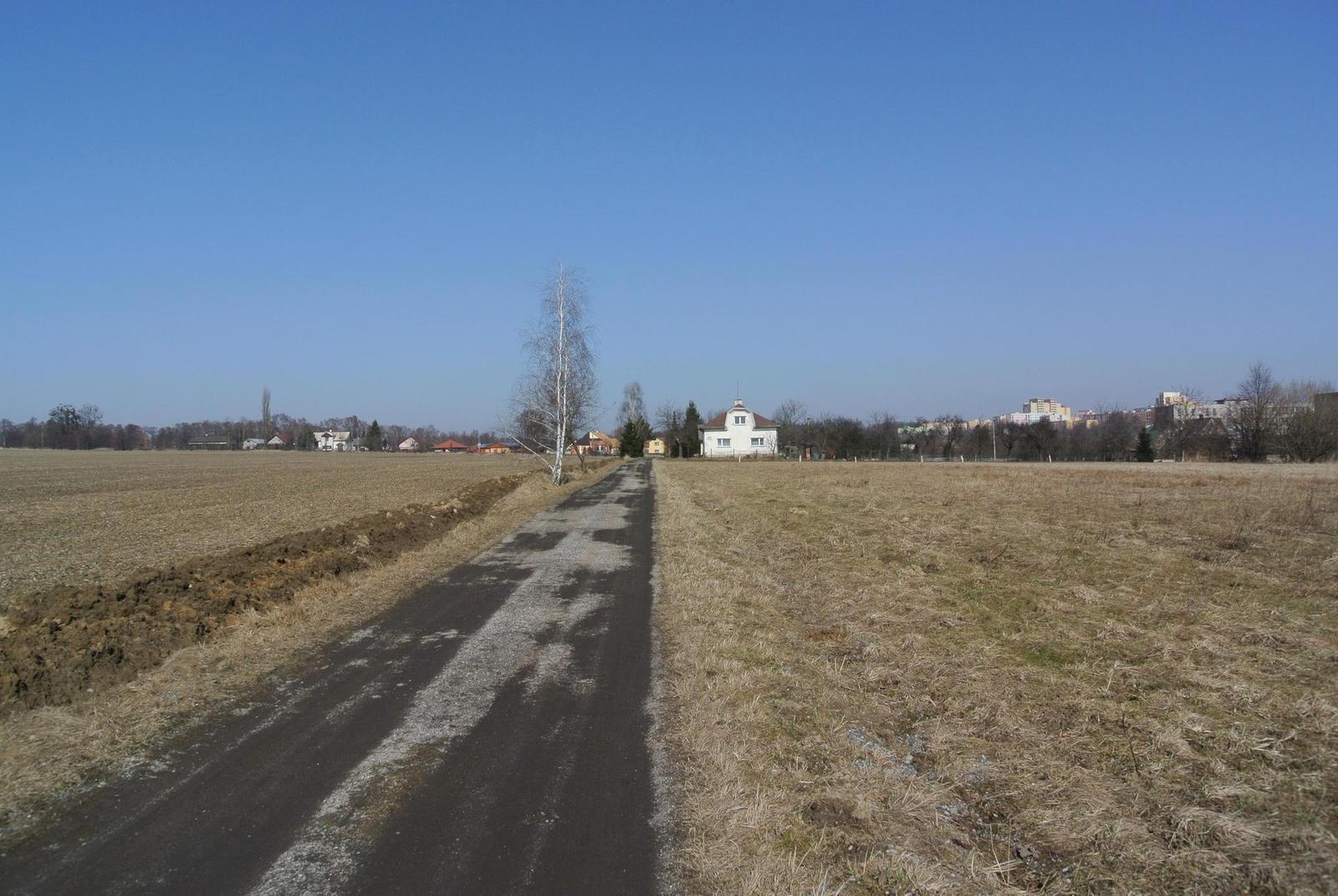 Nikon 1 V1: rychlejší než blesk