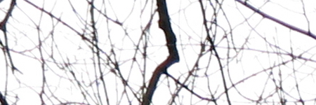 Canon PowerShot G1 X Mark II: významné zlepšení