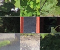 Nikon Coolpix P510: lovec rekordů